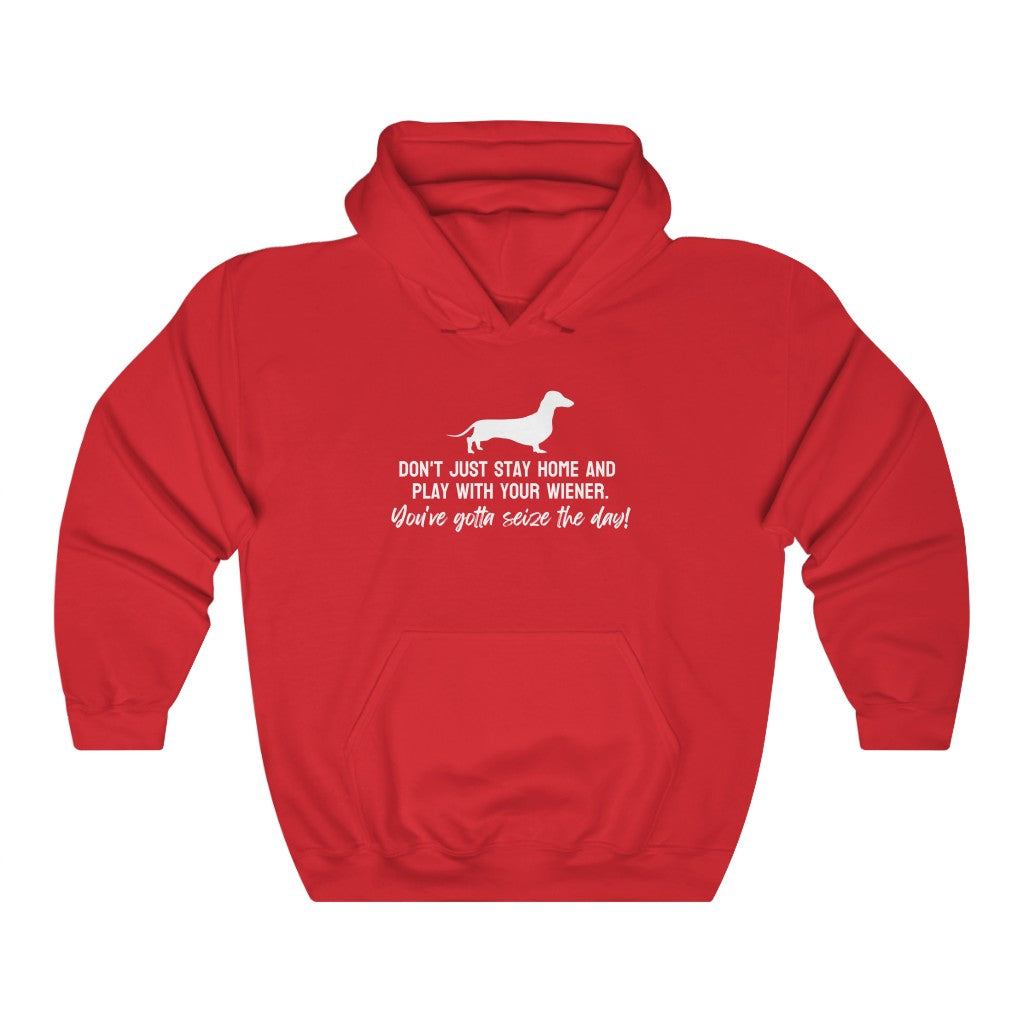 Don't just stay home and play with your wiener. You've gotta seize the day! Hoodie