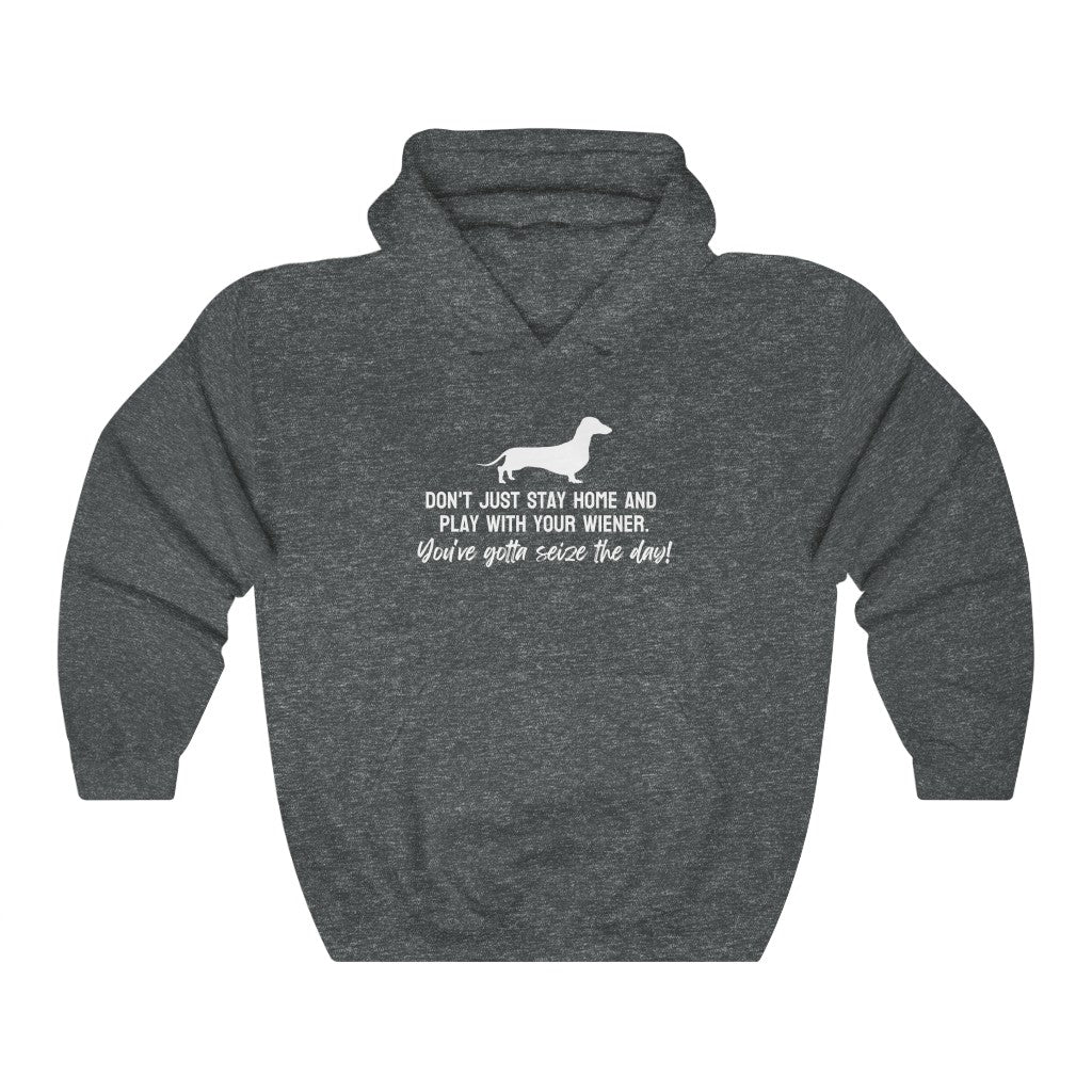 Don't just stay home and play with your wiener. You've gotta seize the day! Hoodie
